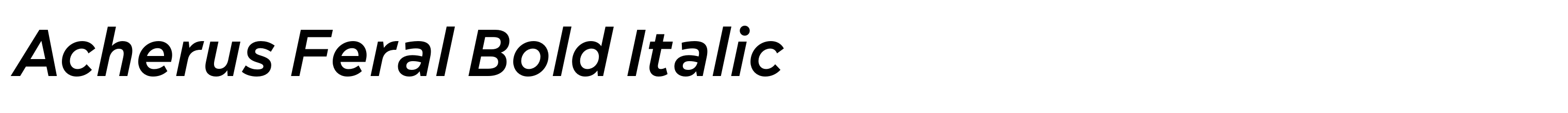 Acherus Feral Bold Italic